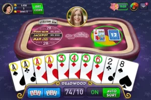 Gin Rummy Plus 1