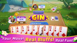 Gin Rummy Frenz 2