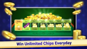 Indian Rummy 5