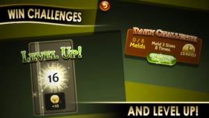 Rummy 500 4